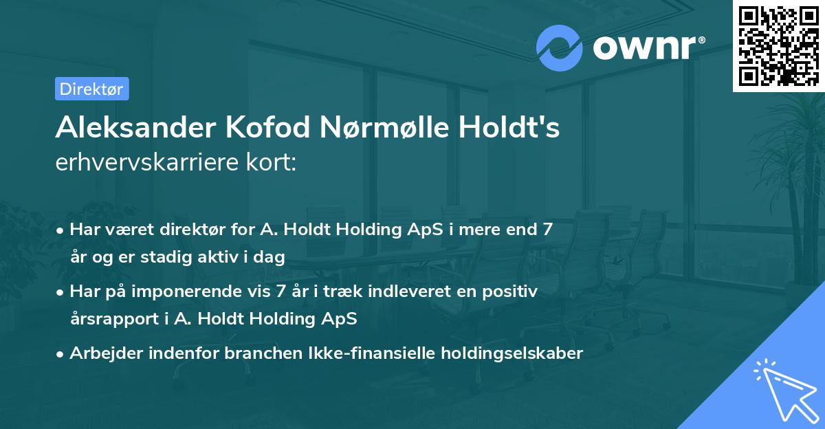 Aleksander Kofod Nørmølle Holdt's erhvervskarriere kort