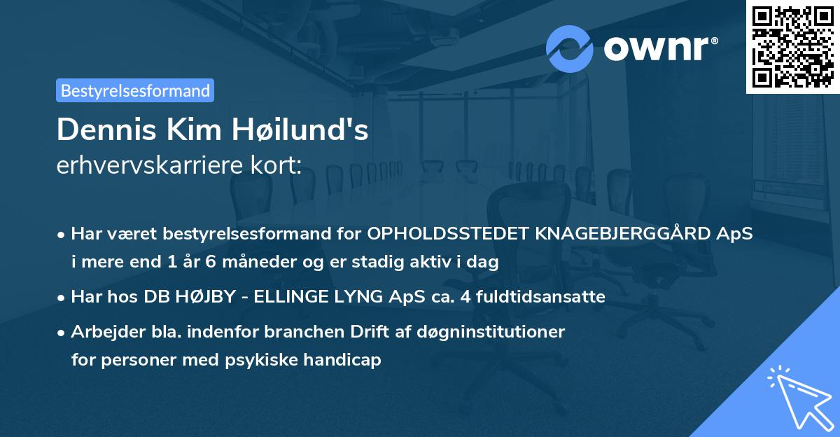 Dennis Kim Høilund's erhvervskarriere kort