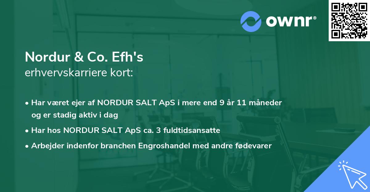 Nordur & Co. Efh's erhvervskarriere kort