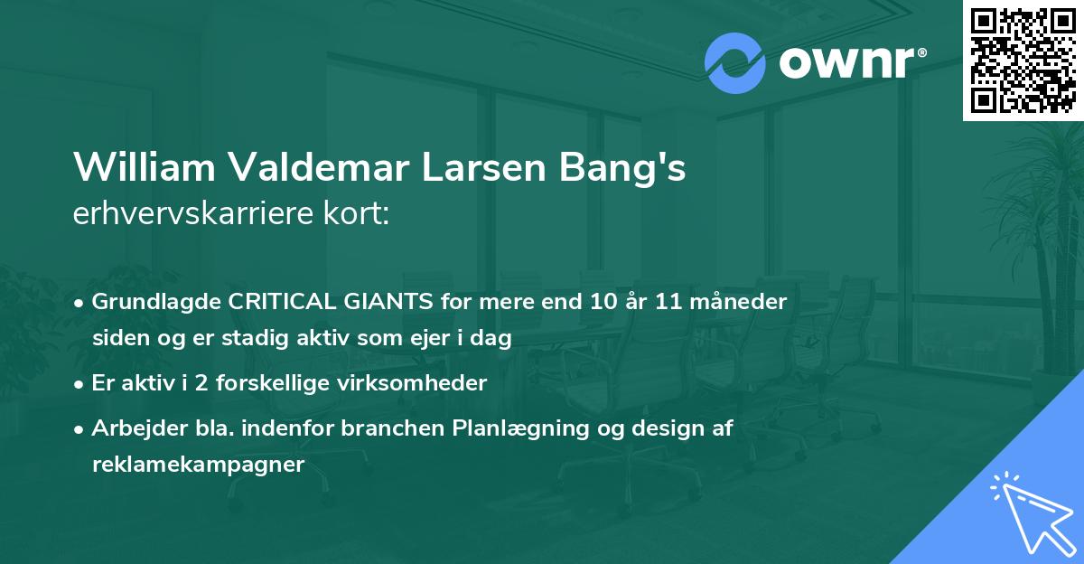 William Valdemar Larsen Bang's erhvervskarriere kort