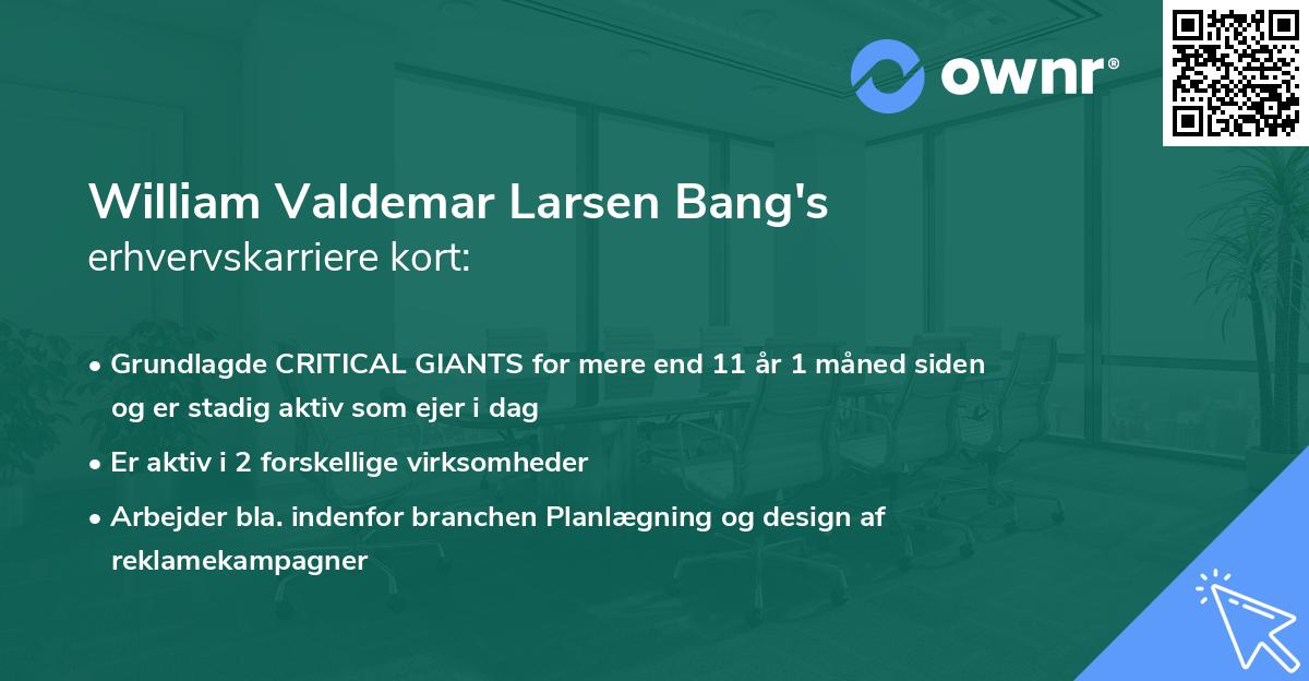 William Valdemar Larsen Bang's erhvervskarriere kort