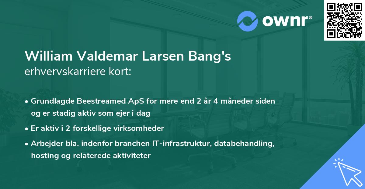 William Valdemar Larsen Bang's erhvervskarriere kort