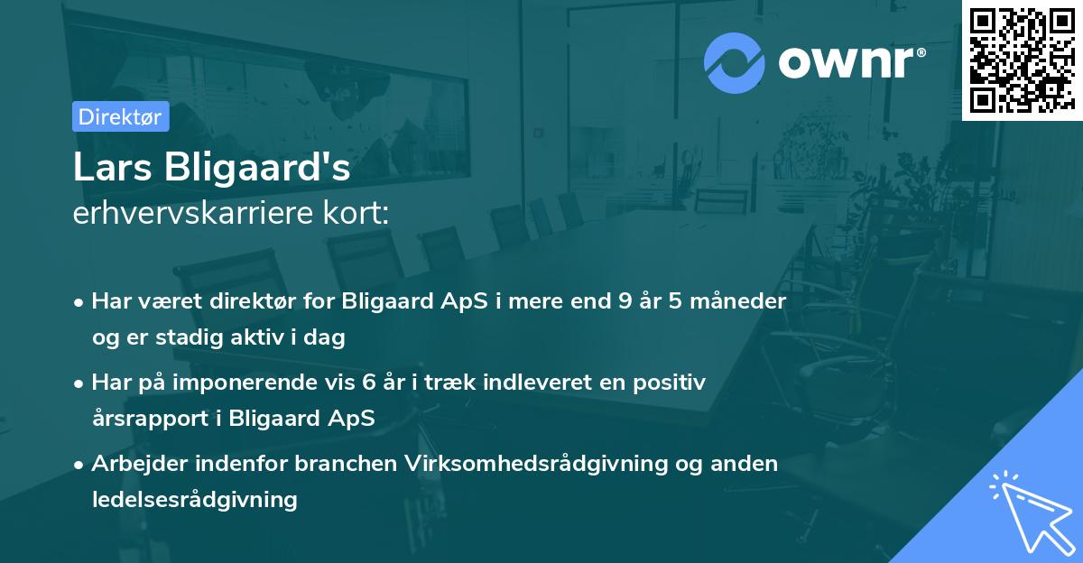 Lars Bligaard's erhvervskarriere kort