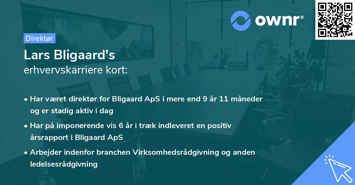Lars Bligaard's erhvervskarriere kort