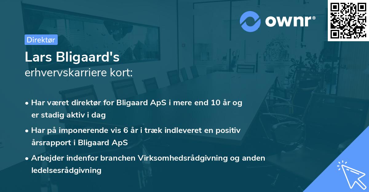 Lars Bligaard's erhvervskarriere kort
