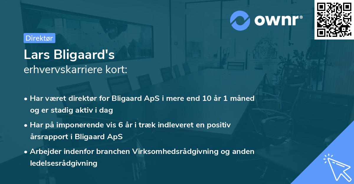 Lars Bligaard's erhvervskarriere kort