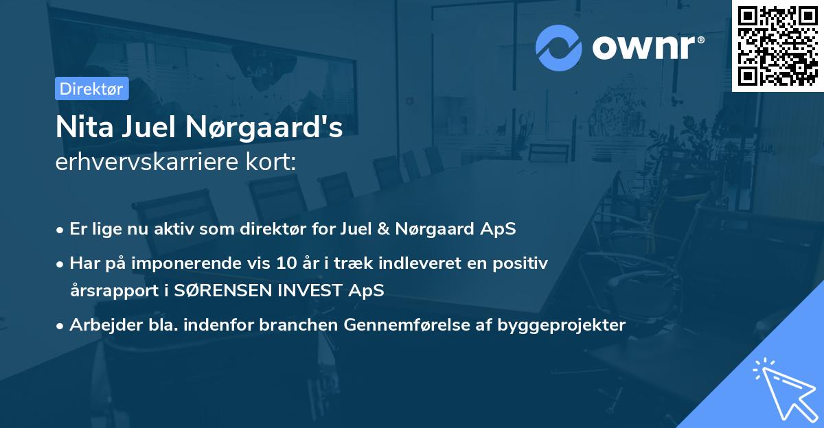 Nita Juel Nørgaard's erhvervskarriere kort