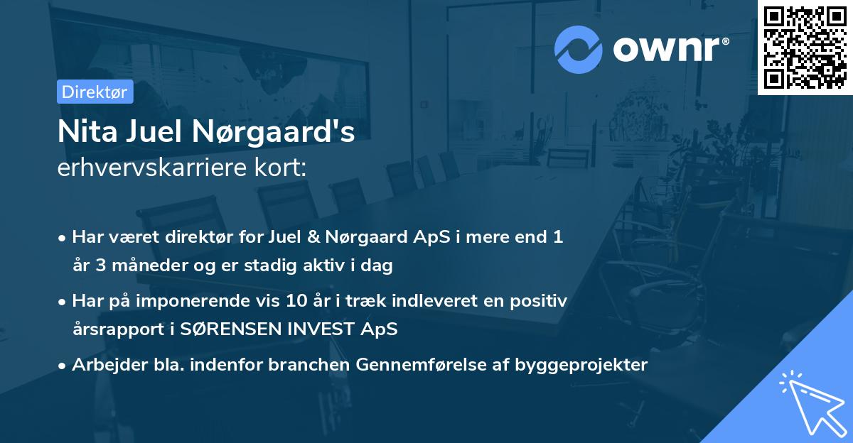 Nita Juel Nørgaard's erhvervskarriere kort