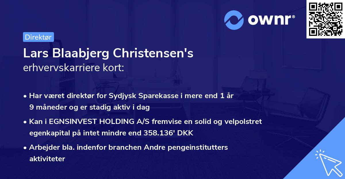 Lars Blaabjerg Christensen's erhvervskarriere kort