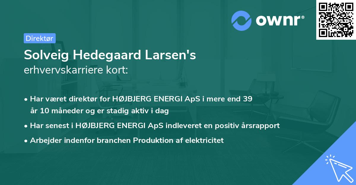 Solveig Hedegaard Larsen's erhvervskarriere kort