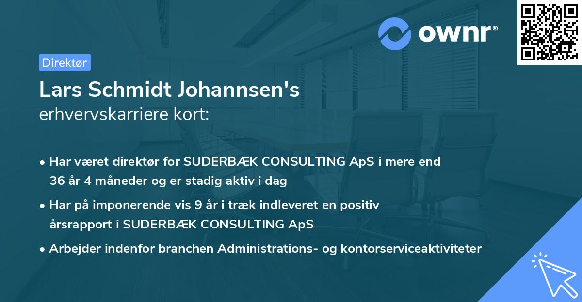 Lars Schmidt Johannsen's erhvervskarriere kort