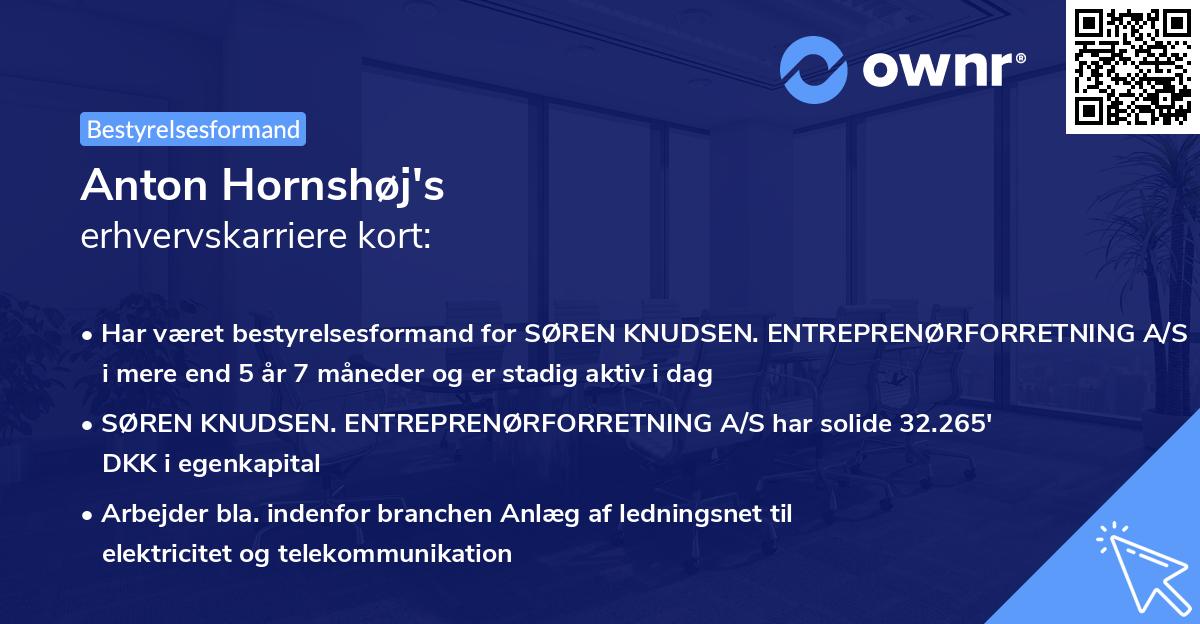 Anton Hornshøj's erhvervskarriere kort