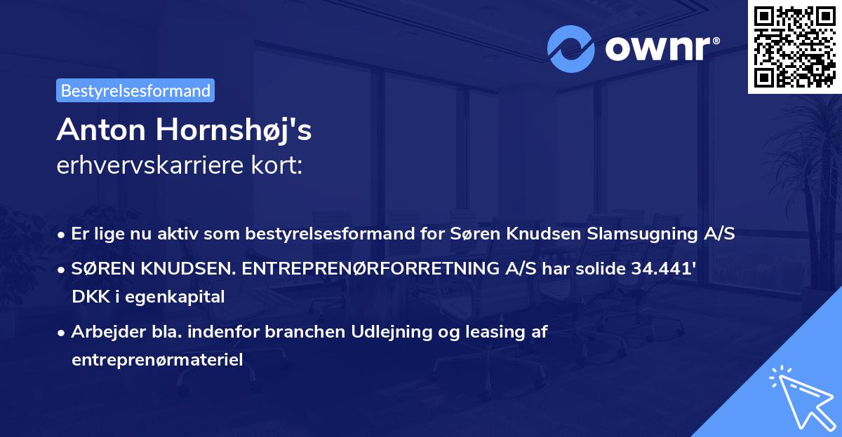 Anton Hornshøj's erhvervskarriere kort