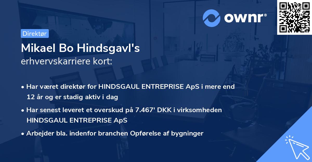 Mikael Bo Hindsgavl's erhvervskarriere kort