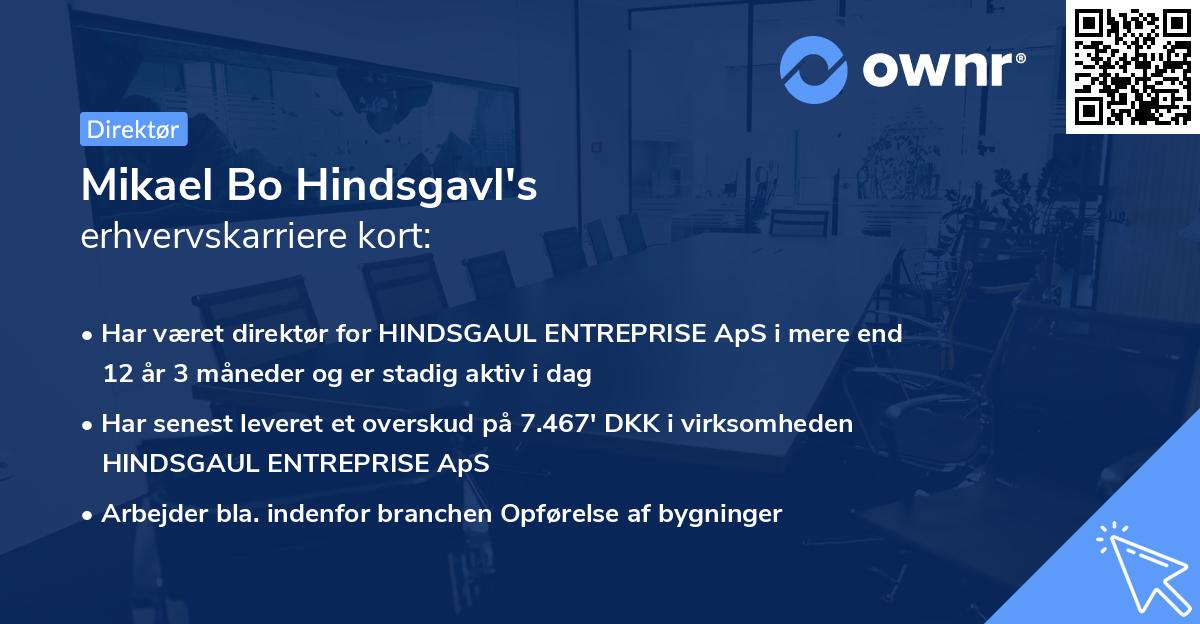 Mikael Bo Hindsgavl's erhvervskarriere kort