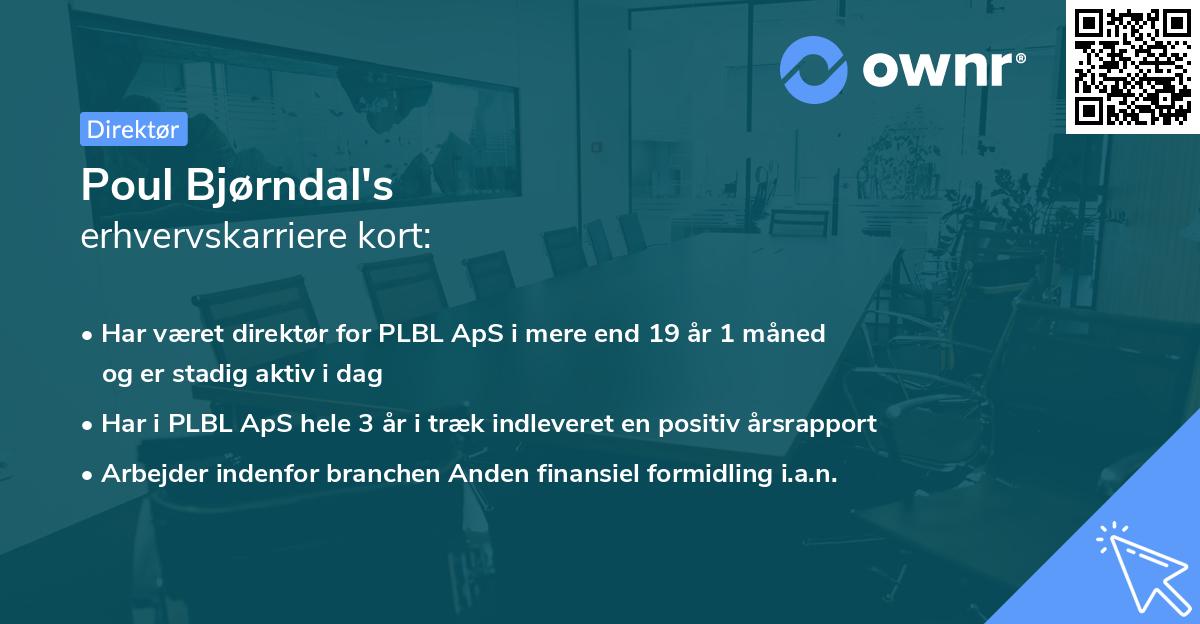 Poul Bjørndal's erhvervskarriere kort