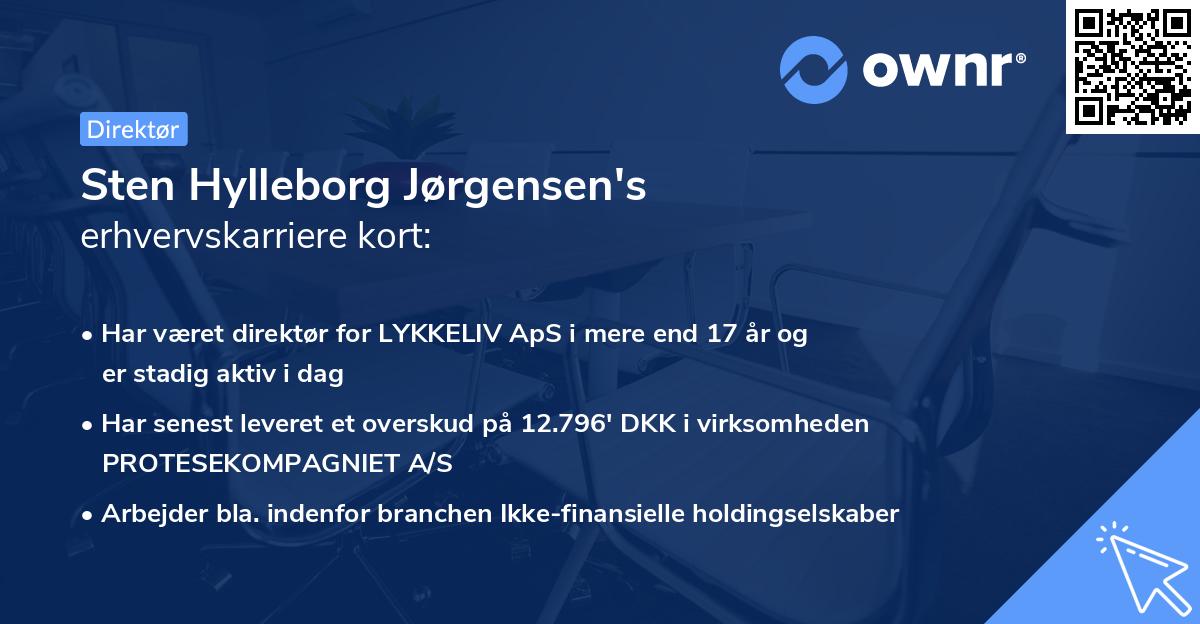 Sten Hylleborg Jørgensen's erhvervskarriere kort
