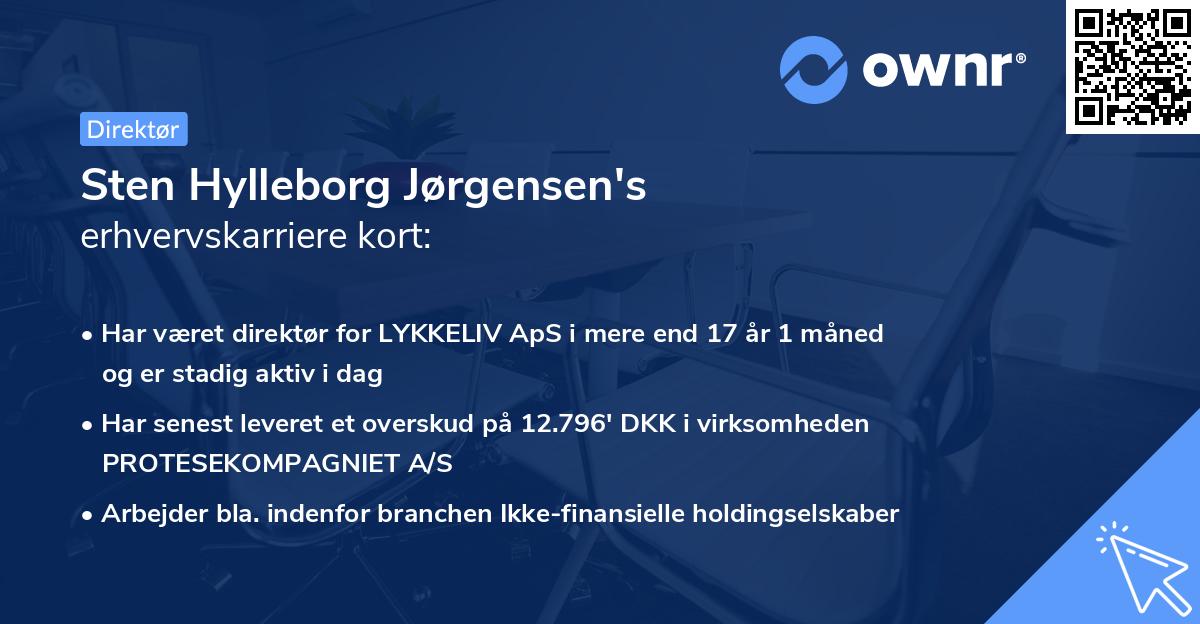 Sten Hylleborg Jørgensen's erhvervskarriere kort