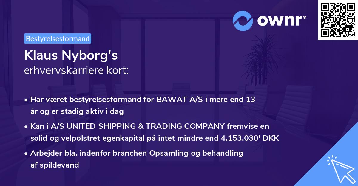 Klaus Nyborg's erhvervskarriere kort