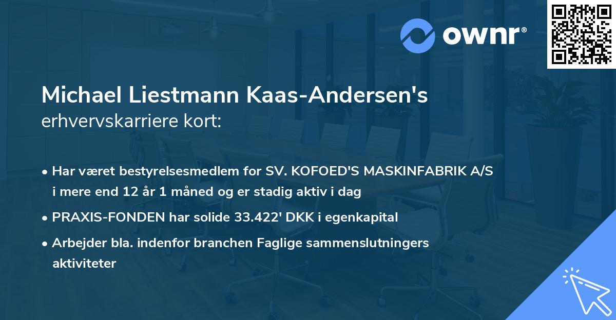 Michael Liestmann Kaas-Andersen's erhvervskarriere kort