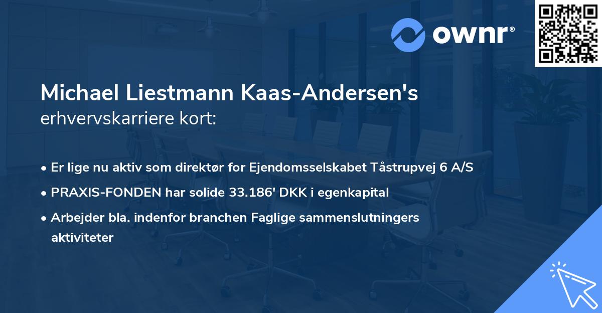 Michael Liestmann Kaas-Andersen's erhvervskarriere kort