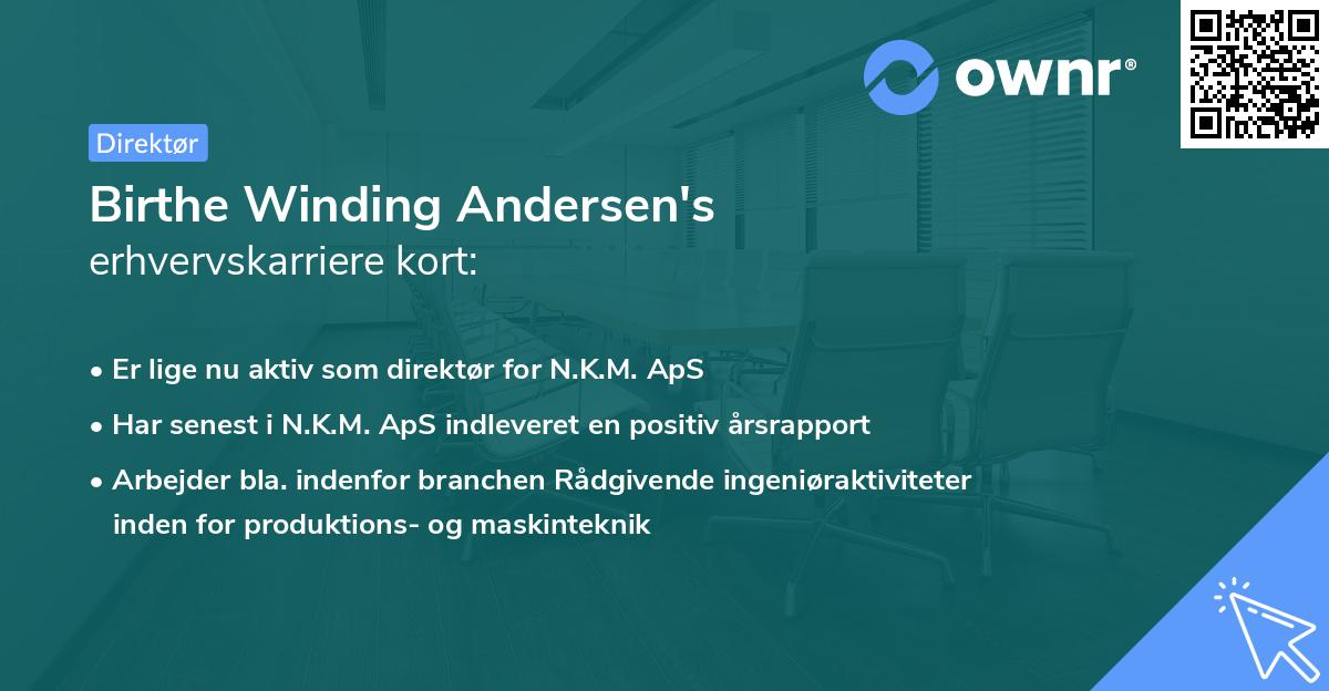 Birthe Winding Andersen's erhvervskarriere kort