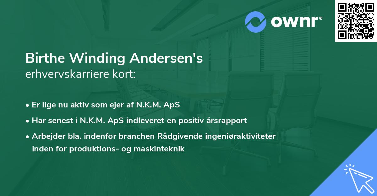 Birthe Winding Andersen's erhvervskarriere kort