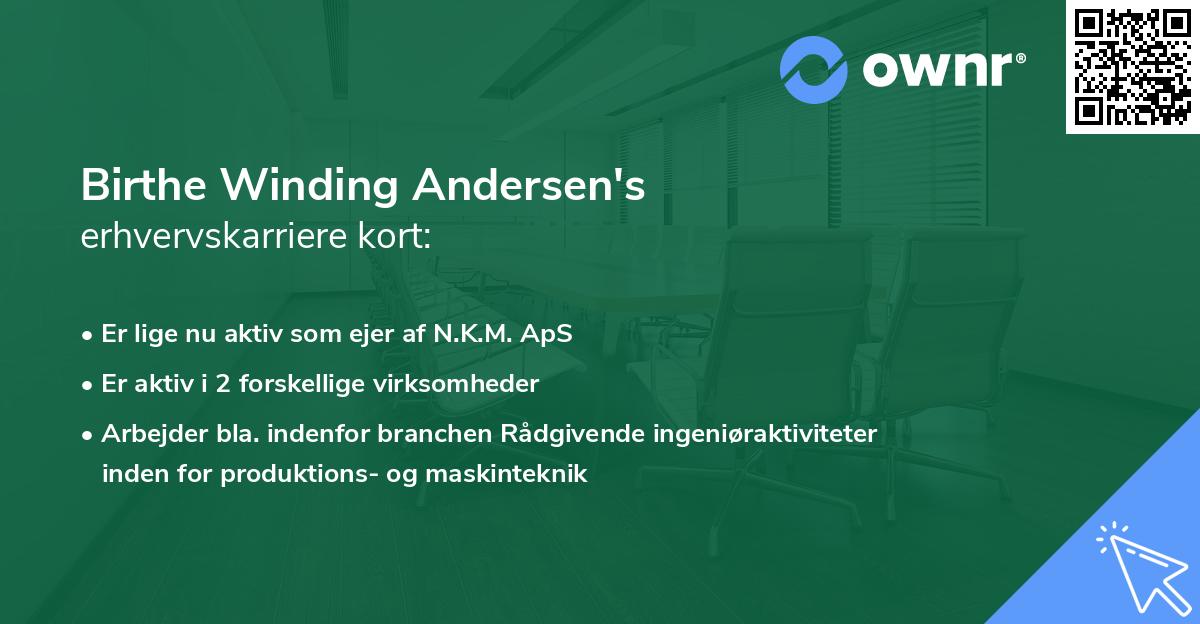 Birthe Winding Andersen's erhvervskarriere kort