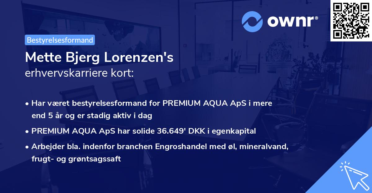 Mette Bjerg Lorenzen's erhvervskarriere kort