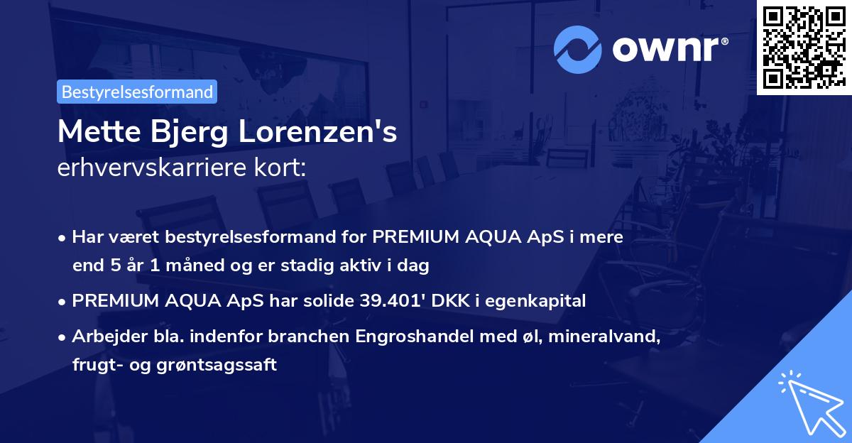 Mette Bjerg Lorenzen's erhvervskarriere kort