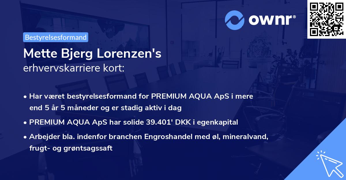 Mette Bjerg Lorenzen's erhvervskarriere kort