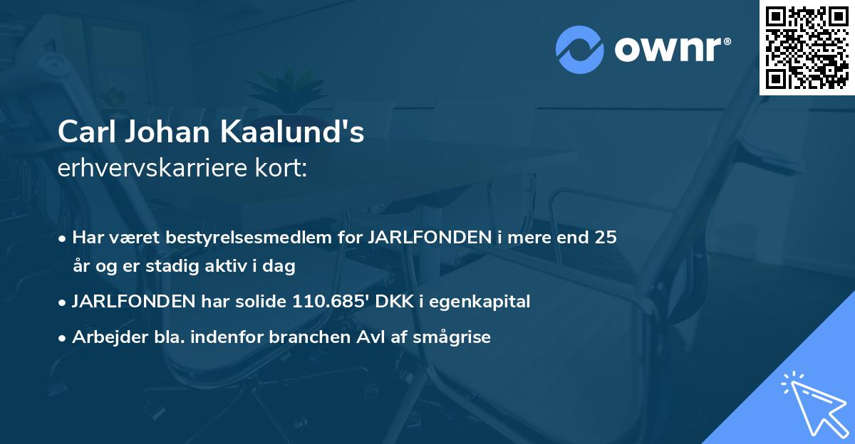 Carl Johan Kaalund's erhvervskarriere kort