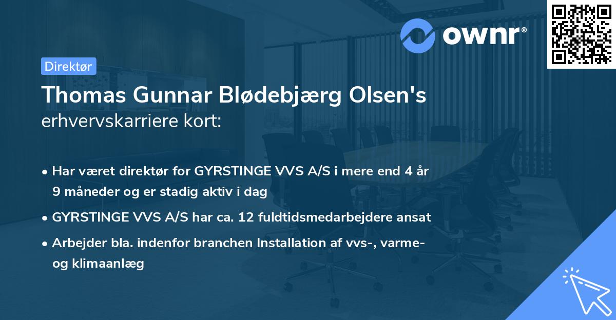 Thomas Gunnar Blødebjærg Olsen's erhvervskarriere kort