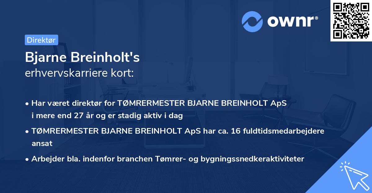 Bjarne Breinholt's erhvervskarriere kort