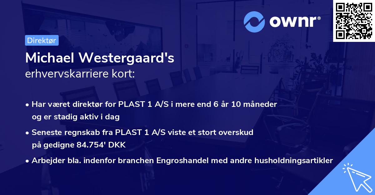 Michael Westergaard's erhvervskarriere kort