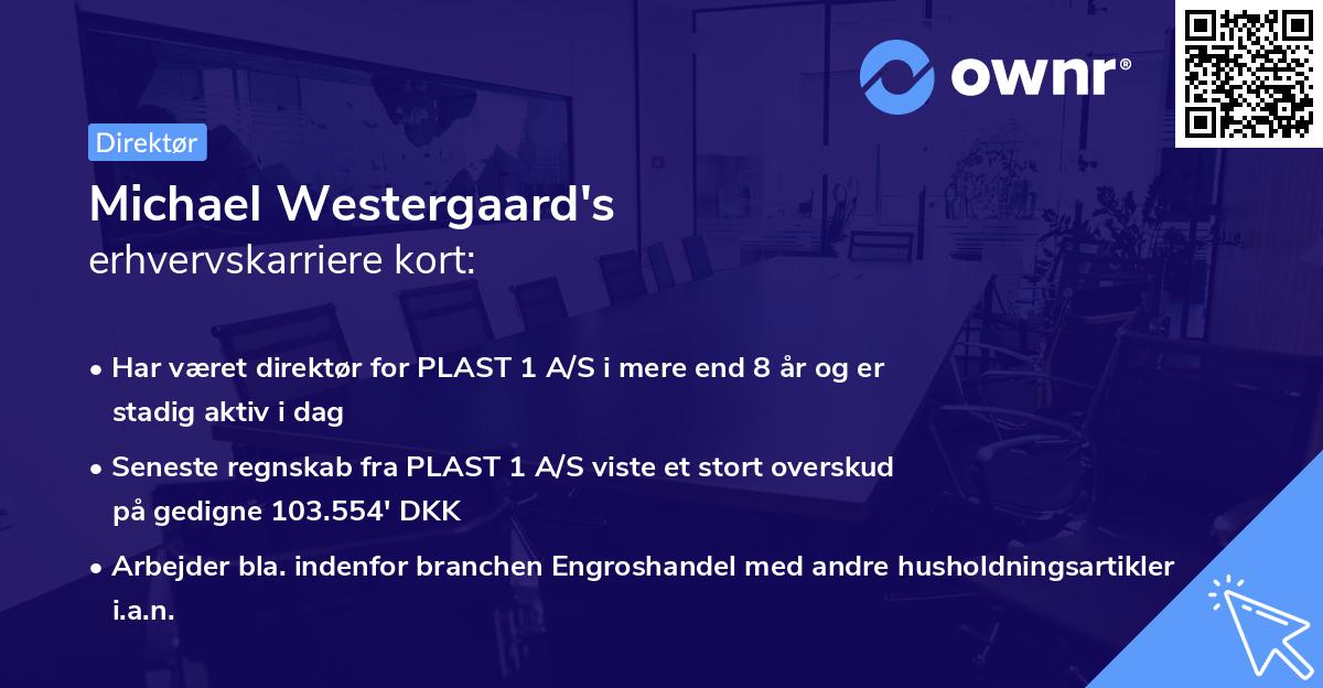 Michael Westergaard's erhvervskarriere kort