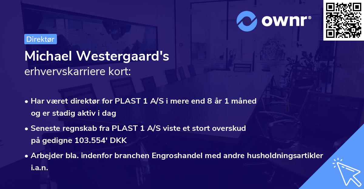 Michael Westergaard's erhvervskarriere kort