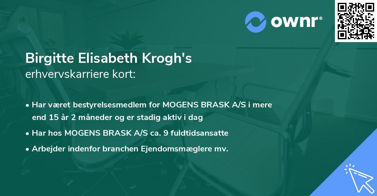 Birgitte Elisabeth Krogh's erhvervskarriere kort