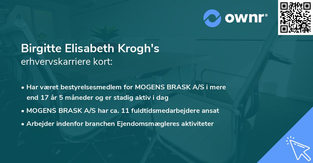 Birgitte Elisabeth Krogh's erhvervskarriere kort