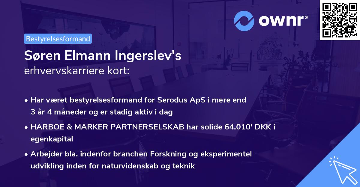Søren Elmann Ingerslev's erhvervskarriere kort