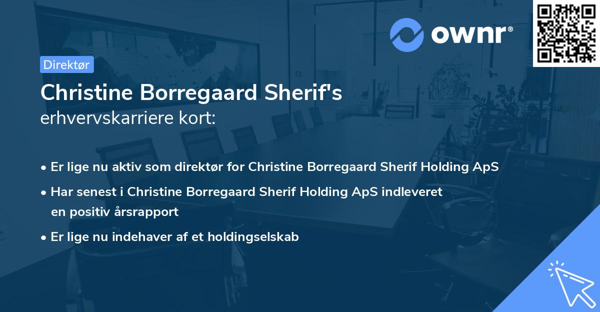 Christine Borregaard Sherif's erhvervskarriere kort