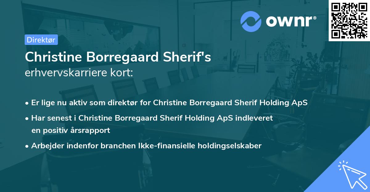 Christine Borregaard Sherif's erhvervskarriere kort