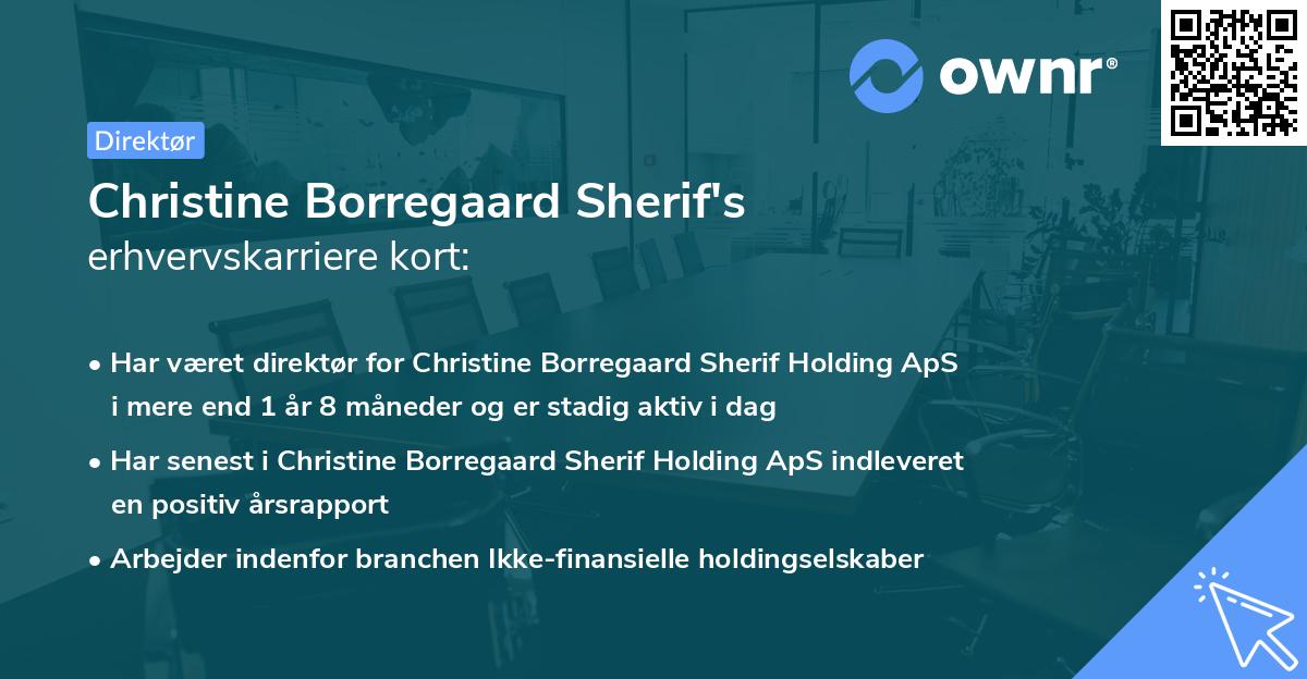 Christine Borregaard Sherif's erhvervskarriere kort