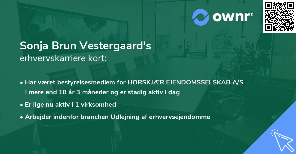 Sonja Brun Vestergaard's erhvervskarriere kort