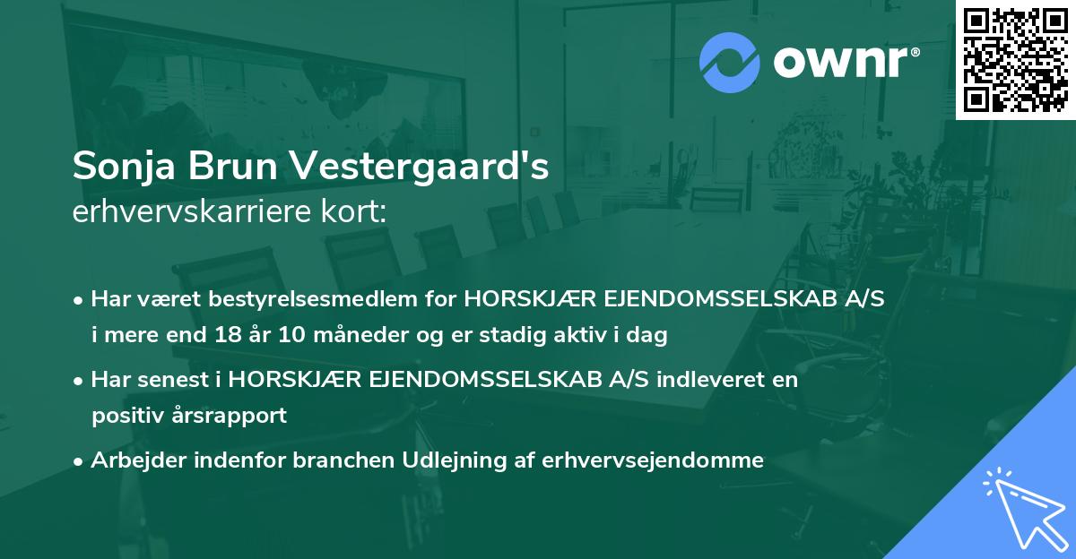 Sonja Brun Vestergaard's erhvervskarriere kort