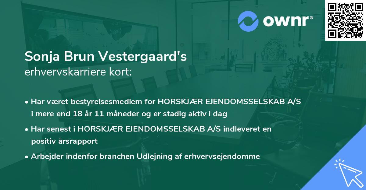 Sonja Brun Vestergaard's erhvervskarriere kort
