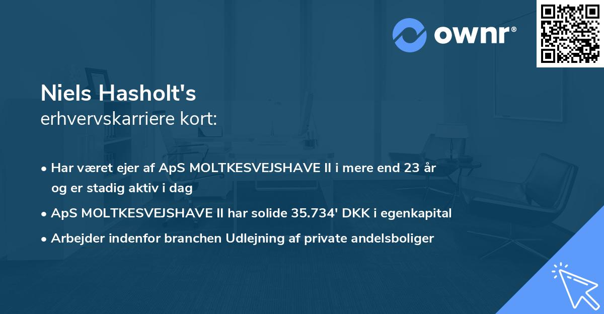 Niels Hasholt's erhvervskarriere kort