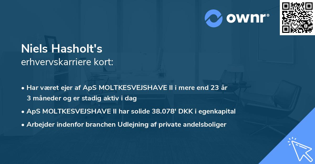 Niels Hasholt's erhvervskarriere kort