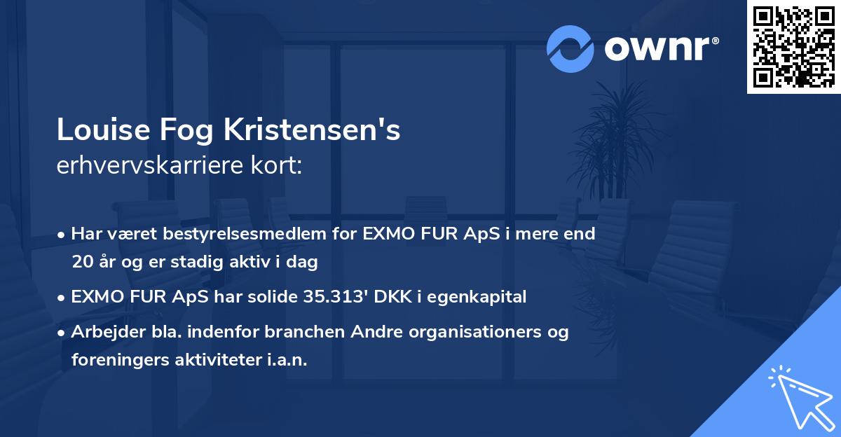 Louise Fog Kristensen's erhvervskarriere kort