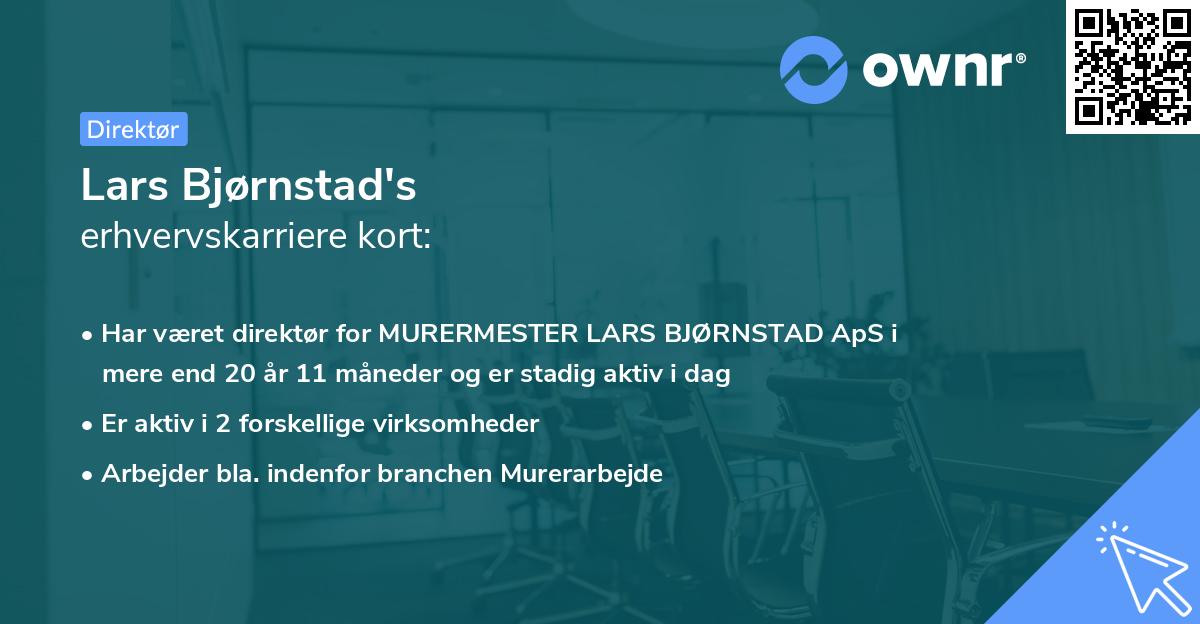 Lars Bjørnstad's erhvervskarriere kort